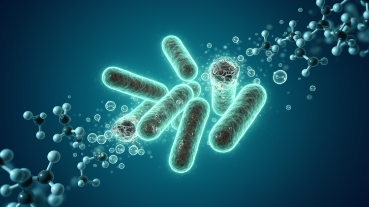 Amino Acid L-Histidine Restores Carbapenem Power Against NDM-Resistant Superbugs