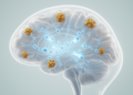 Chronic Neuropeptide S Treatment Restores Sleep and Cuts Amyloid Pathology in Alzheimer's Mice