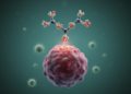 Antibody-Drug Conjugates Extend Survival in Triple-Negative Breast Cancer, Meta-Analysis Finds