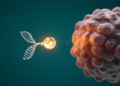Gemcitabine-Fused microRNA Shows Promise Against Chemoresistant Colorectal Cancer in Preclinical Models