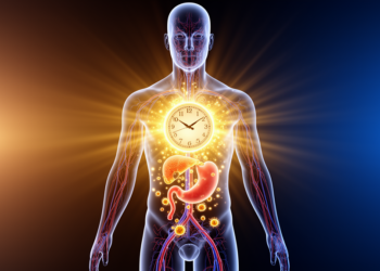 Body Clocks, Hormones and Metabolism May Set the Daily Rhythm of Immune Health