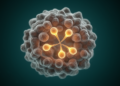 Rising Cancer Stemness Drives Prostate Cancer Progression and Treatment Resistance