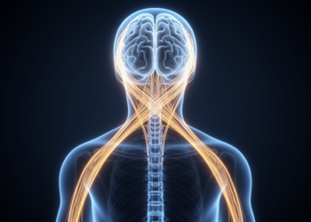 Why the Right Brain Runs the Left Body: An Evolutionary Story of Crossed Wiring