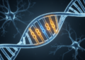 Biallelic ATM Variants Behind Decades-Long Familial Dystonic Choreoathetosis