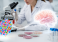 Gut Microbiota Research on Cognitive Decline in Older Adults Maps a Rapidly Growing Field