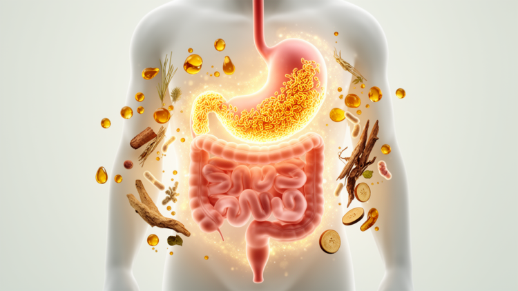 Traditional Chinese Formula Shields Stomach From Alcohol Damage by Reshaping Gut Bacteria