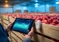 AI Flags Cold Chain Temperature Breaks Before They Strike Apples