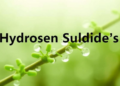 Hydrogen Sulfide's Hidden Hand: How a Tiny Gas Molecule Rewires Plant Proteins