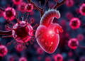 Cellular Contact Points Called MAMs Emerge as Central Players in Heart Attack Damage
