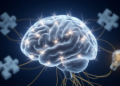 Epileptiform Abnormalities Linked to Lower Cognitive Performance in Autism Spectrum Disorder