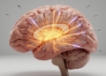 Brain–computer interface stimulation shows clearer recovery signal after stroke, review finds