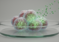 Artemisinin May Curb Gastric Cancer Cells by Damping ERK Signaling