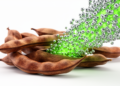 Carob pods yield green-synthesized silver nanocomposites with antibacterial power