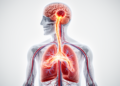Rare Brain Abscess Linked to Asymptomatic Pulmonary Arteriovenous Fistula