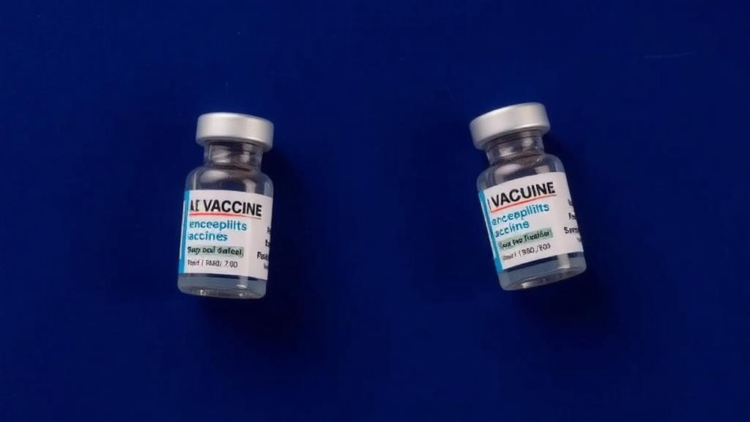 Two Japanese Encephalitis Vaccines Can Be Safely Mixed, Landmark Indian Trial Finds