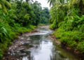 Amazon Urban Stream Carries Some of South America's Highest PFAS Levels