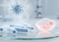Pure Hypochlorous Acid Reduces MRSA Colonization and Demonstrates Neonatal Safety