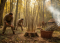 Bronze Age Italians ran sustainable coppicing cycles centuries ago, pollen reveals