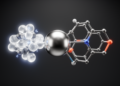 Nickel catalyst pairs anionic and neutral ligands to steer cyclohexane stereochemistry