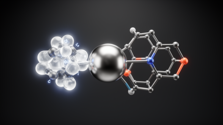 Nickel catalyst pairs anionic and neutral ligands to steer cyclohexane stereochemistry