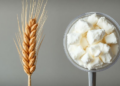 Timing Is Everything: When Wheat Gets Nitrogen Reshapes Its Starch From the Inside Out