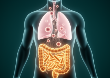 Gut microbes may decide who responds to lung cancer immunotherapy