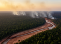 Fires and drought push Amazon carbon balance to 0.32 PgC per year