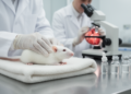 Floralozone Shows Cardioprotective Effects in Doxorubicin-Induced Heart Failure in Rats