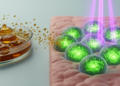 Fermented Gallnut Extract Shows Mitochondrial Boost in UV-Damaged Skin Cells in Lab Study