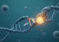 Lactate tag on RPA1 drives DNA repair and breast cancer chemoresistance