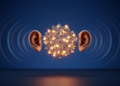 Human-inspired AI model sharpens sound localization while keeping the network compact