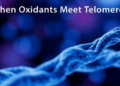 When Oxidants Meet Telomeres: A Rigorous Audit of Redox Control in Cancer