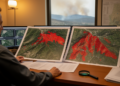 Choosing the Right Pre-Fire Image Date Changes Wildfire Severity Maps Made from 3 m Satellite Data