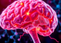 New Database Maps 3,111 Genes Across the 11 Hallmarks of Aging