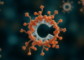 Protein C Rewrites Its Circle of Molecular Partners as Children Grow