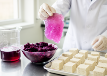 Mulberry Pomace Waste Transformed Into Gel Booster for Plant Protein Foods