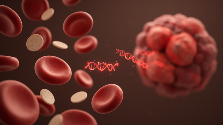 Two Circulating MicroRNAs Track Inflammation and Cachexia in Oesophageal Cancer