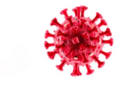 Leukaemia Patient Carried SARS-CoV-2 RNA for 127 Days in Fatal Case