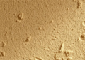 Hempcrete Gets a Strength Boost: Sulphate Additive Makes Carbon-Negative Building Material Tougher
