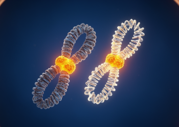 Centromeres may explain suppressed recombination in sex chromosome evolution