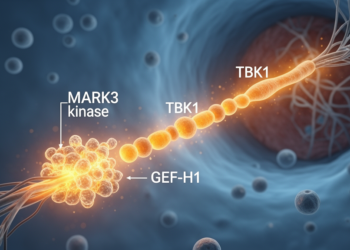 MARK3 kinase drives antiviral defense through GEF-H1 and TBK1 signaling