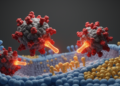Receptor promiscuity in bat sarbecoviruses exposes conserved spike targets
