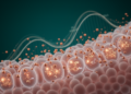 Seven m6A-related genes linked to cuproptosis predict colorectal cancer survival