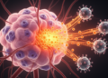 Chemokine CXCL1/8-CXCR1/2 axis drives inflammatory niche in NF1 tumors