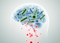 Probiotics lower CRP in depression, meta-analysis finds, but other markers remain unclear