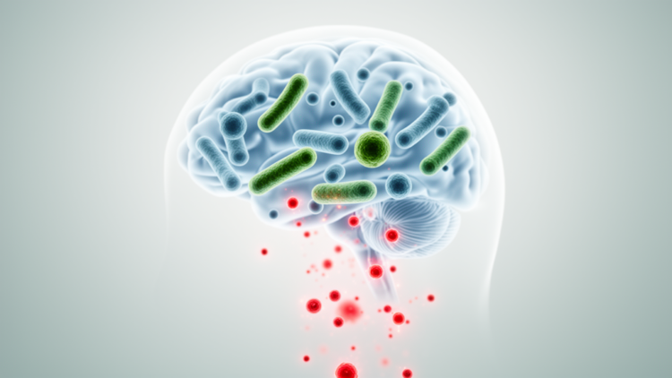 Probiotics lower CRP in depression, meta-analysis finds, but other markers remain unclear