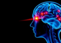 Silent Brain Scars Predict Cognitive Decline in Early Multiple Sclerosis
