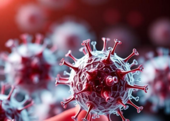 Aging Pushes Pancreatic Alpha Cells Into Overdrive, Fueling Diabetes Risk
