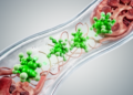 Urinary Succinate Emerges as Potential Non-Invasive Biomarker for Diabetic Kidney Disease