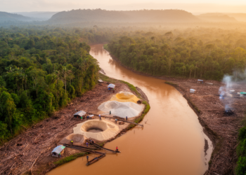 Subsistence Mining and Deforestation Top the List of Threats to a Colombian River Basin